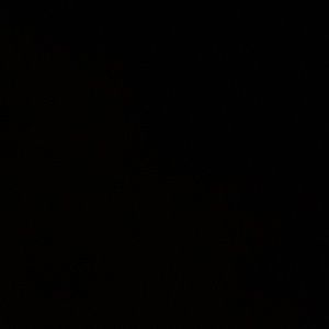 Meet your Posher, Mariah